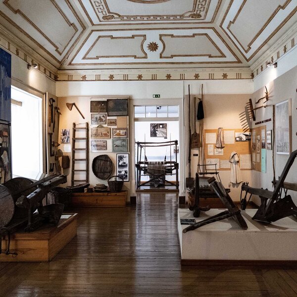 etnografia_agricultura