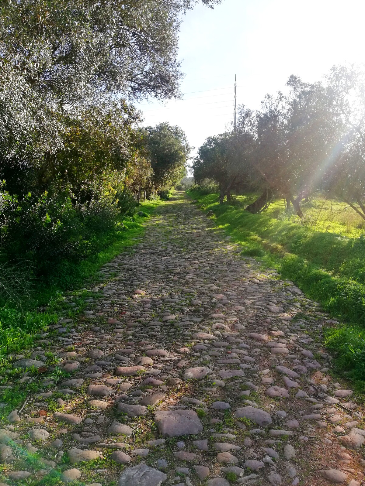 Calçada Romana do Viso