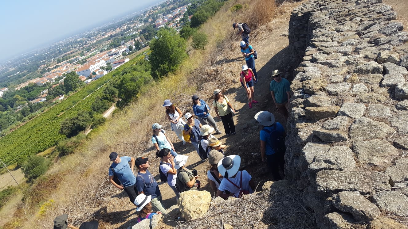 Visitas guiadas ao Castro de Chibanes.