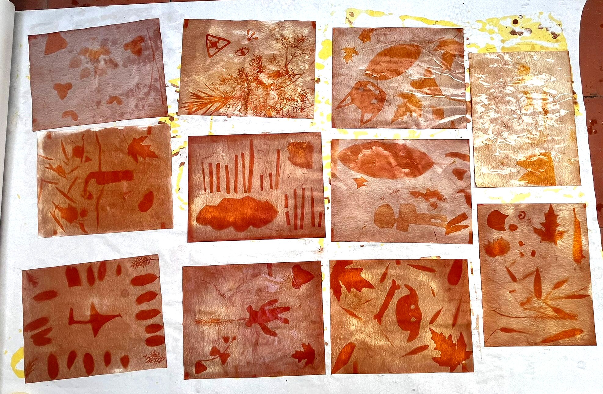 Verão Criativo no MAEDS: Oficinas Enchem o Museu de Alegria e Imaginação