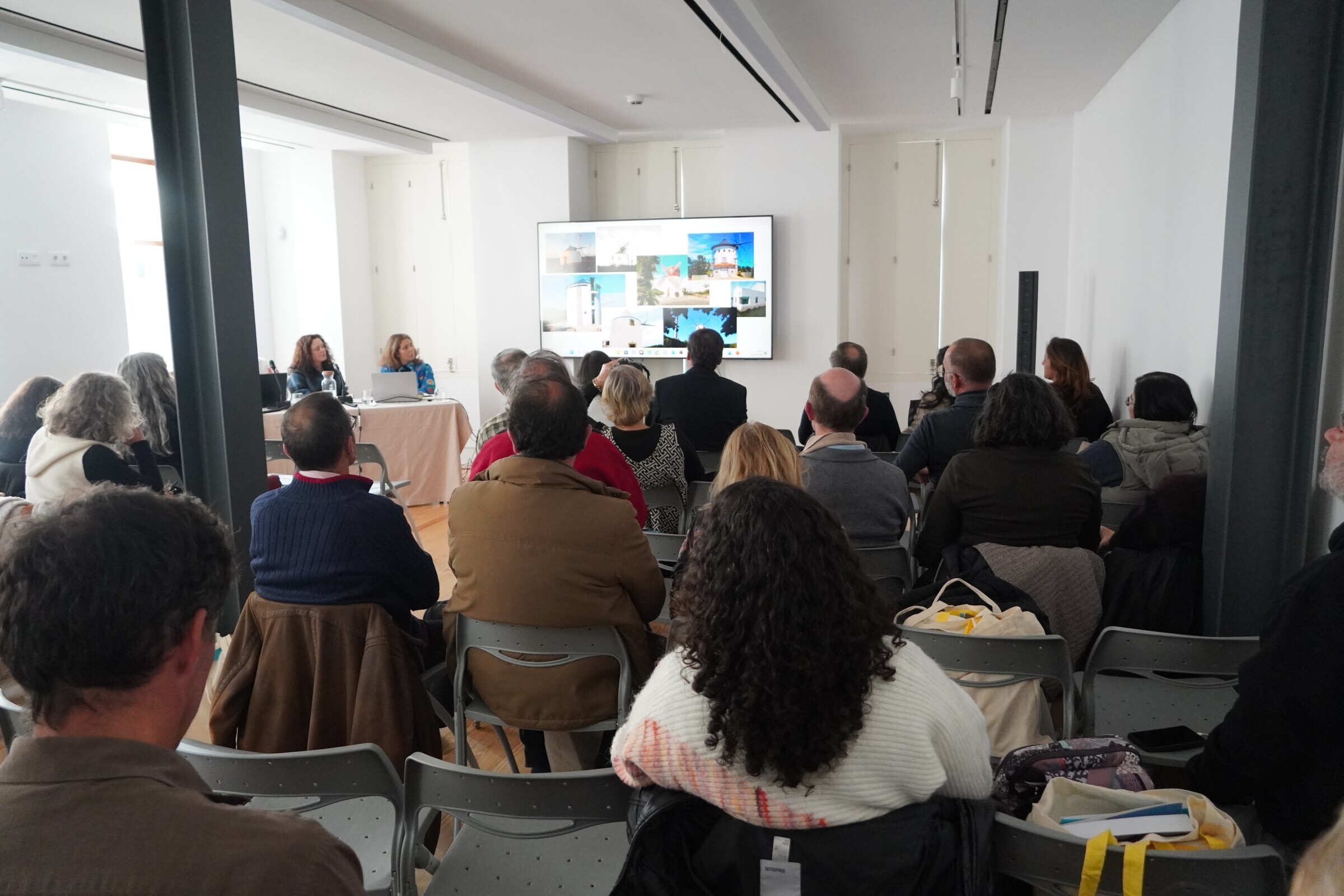 Painel 3. Apresentação de Jorge Miranda, Rede Portuguesa de Moinhos