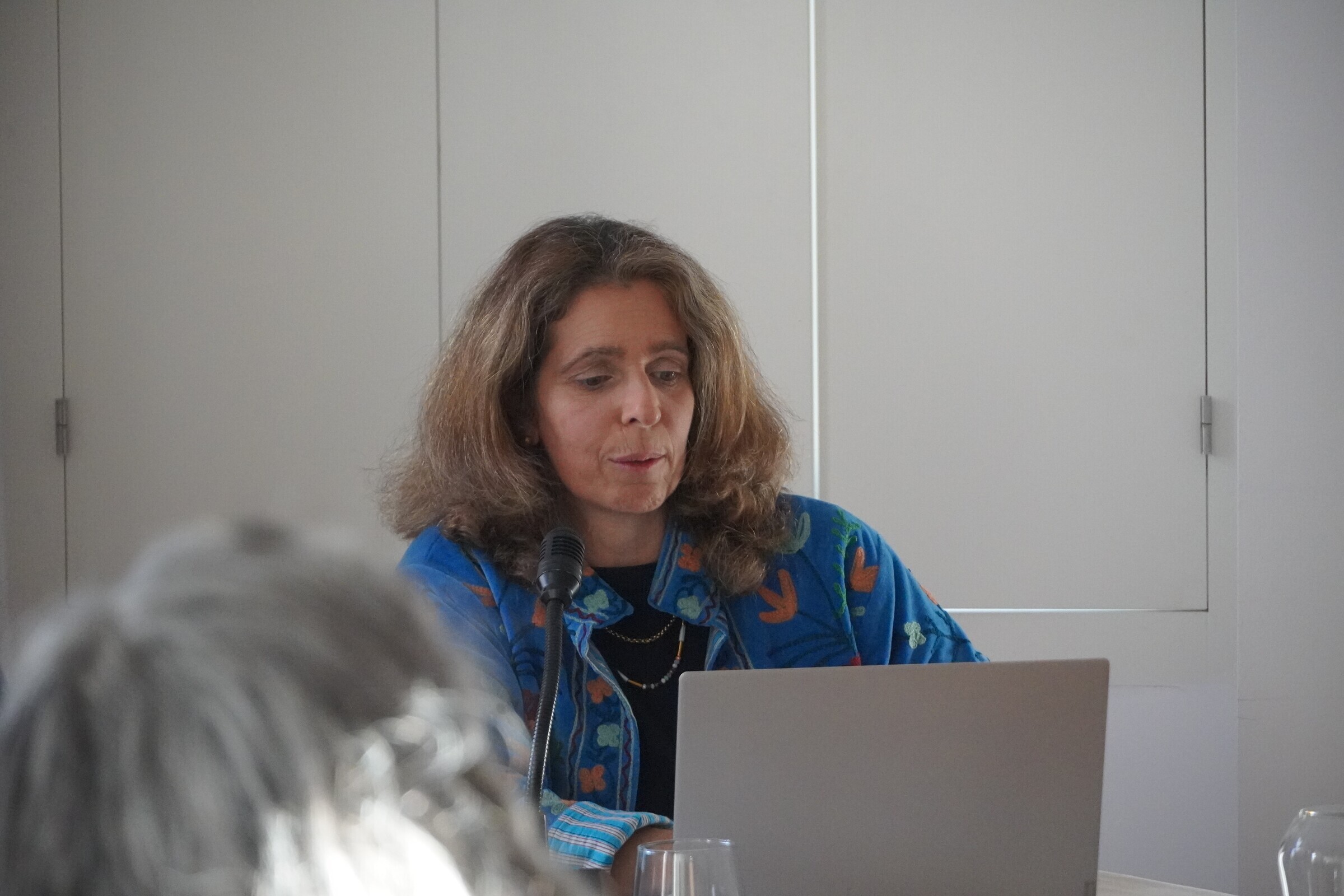 Painel 3. Apresentação de Sofia Costa Macedo, Rede Portuguesa de Museus