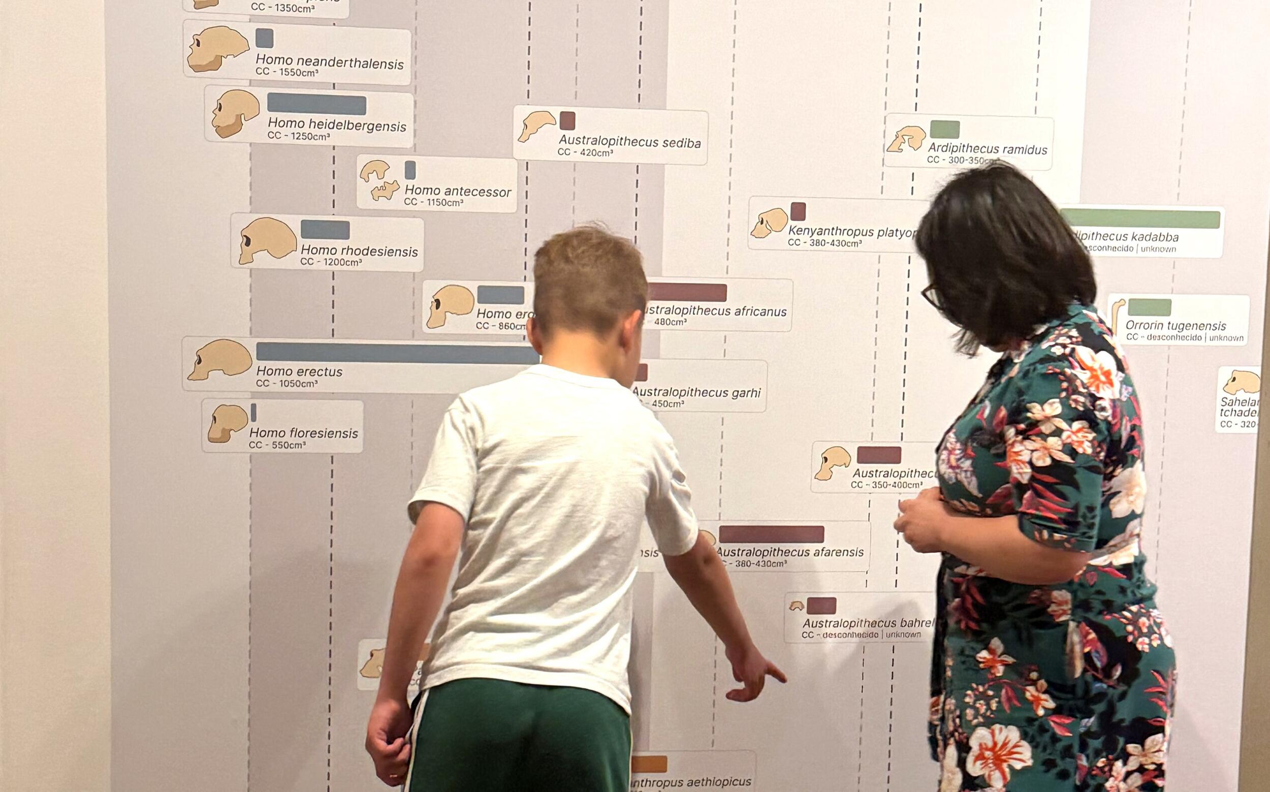 visita guiada à exposição permanente de arqueologia
