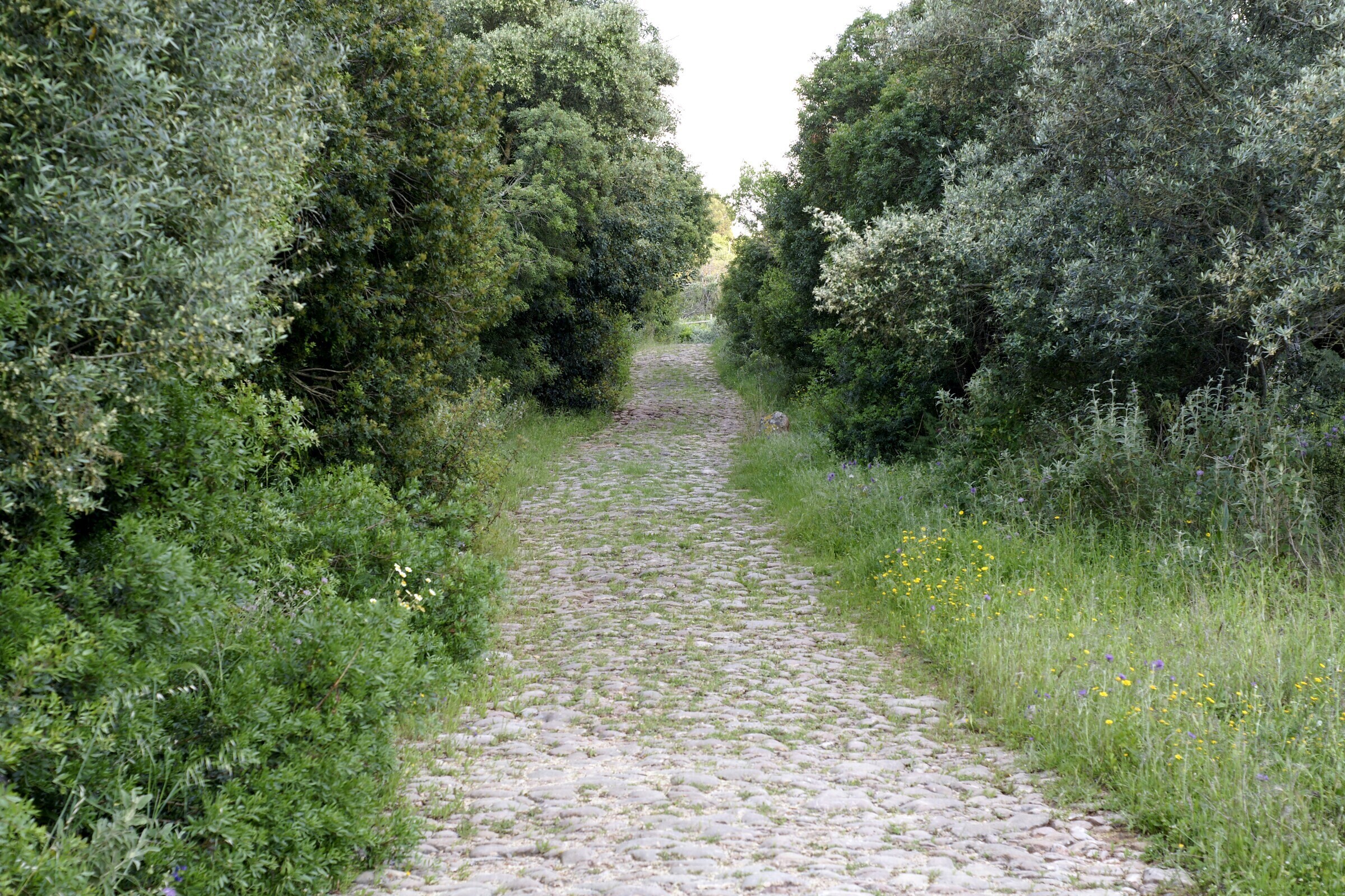 “VIA ANTIGA DO VISO, SETÚBAL”
