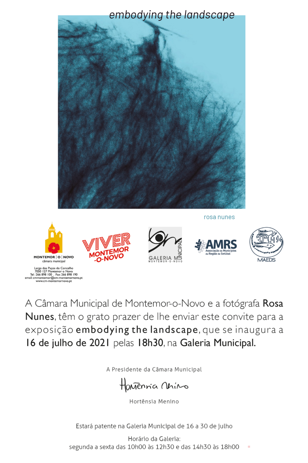 Exposição "embodying the landscape", de Rosa Nunes