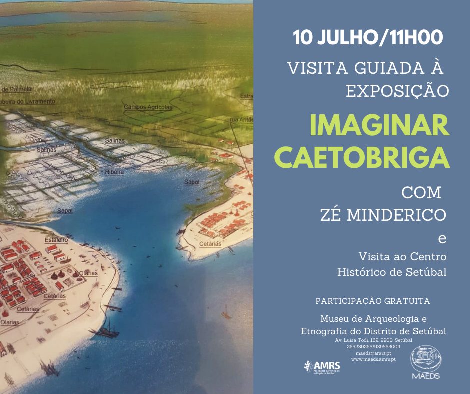 Visitas Guiadas por Artistas