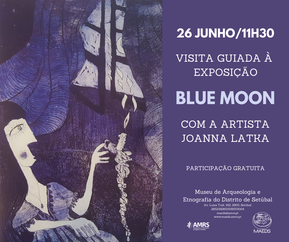 Visitas Guiadas por Artistas