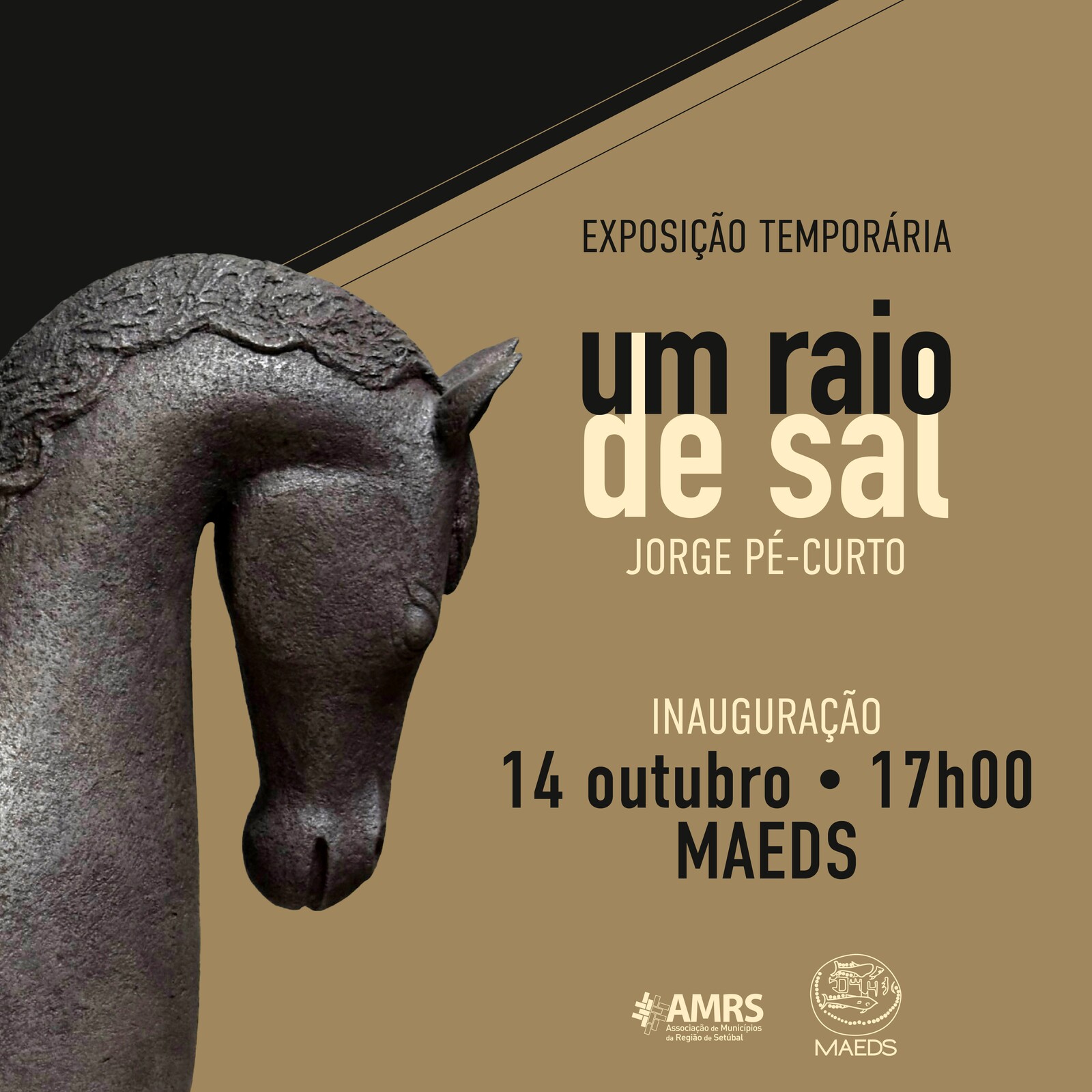 MAEDS recebe exposição “Um raio de sal” de Jorge Pé-Curto