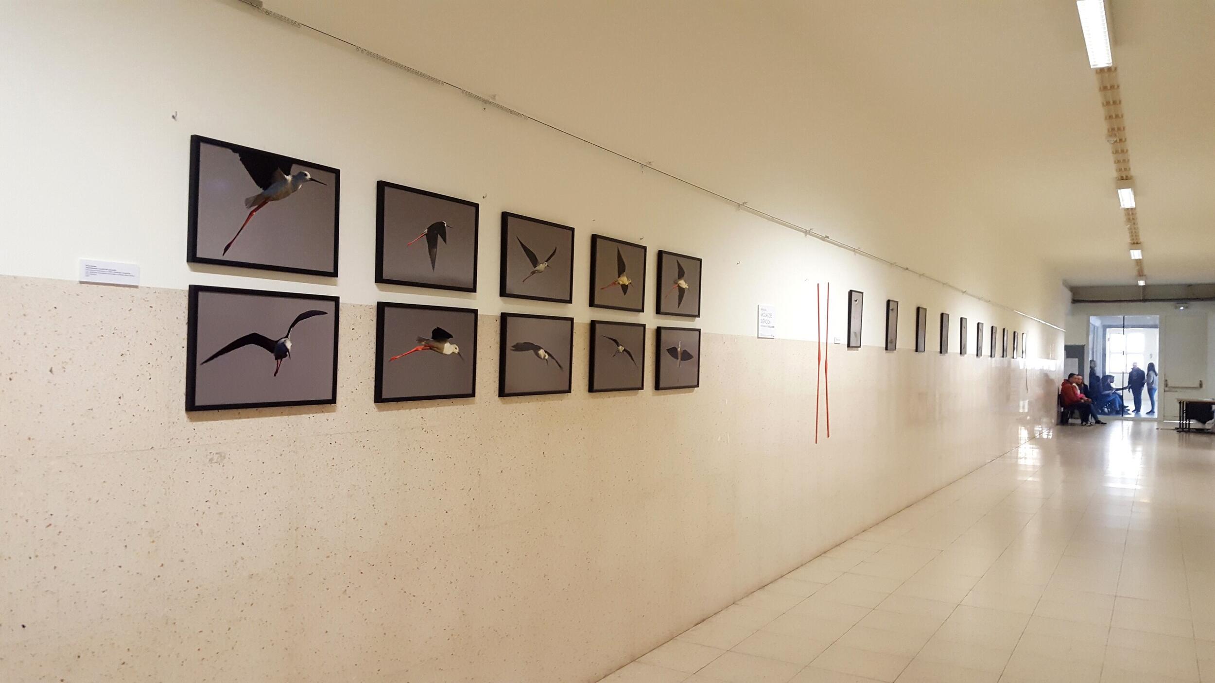 Projecto Educativo "O Museu vai à escola...".  Exposição "ÁGUAS DE SILÊNCIO" Fotografia de Rosa N...