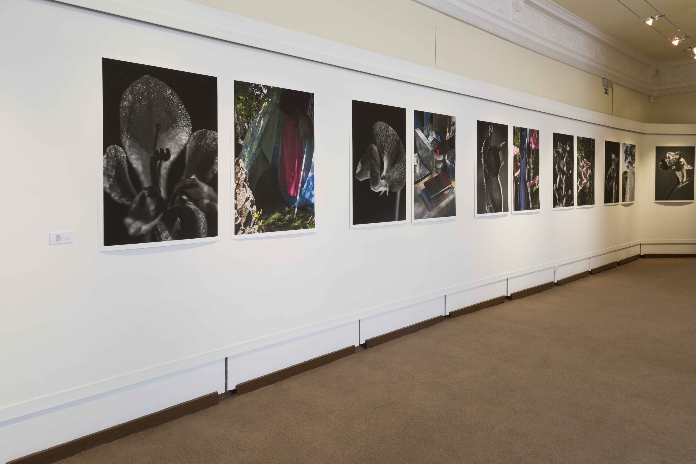 Reportagem fotográfica da exposição "Arrábida: Roteiro de Afectos"