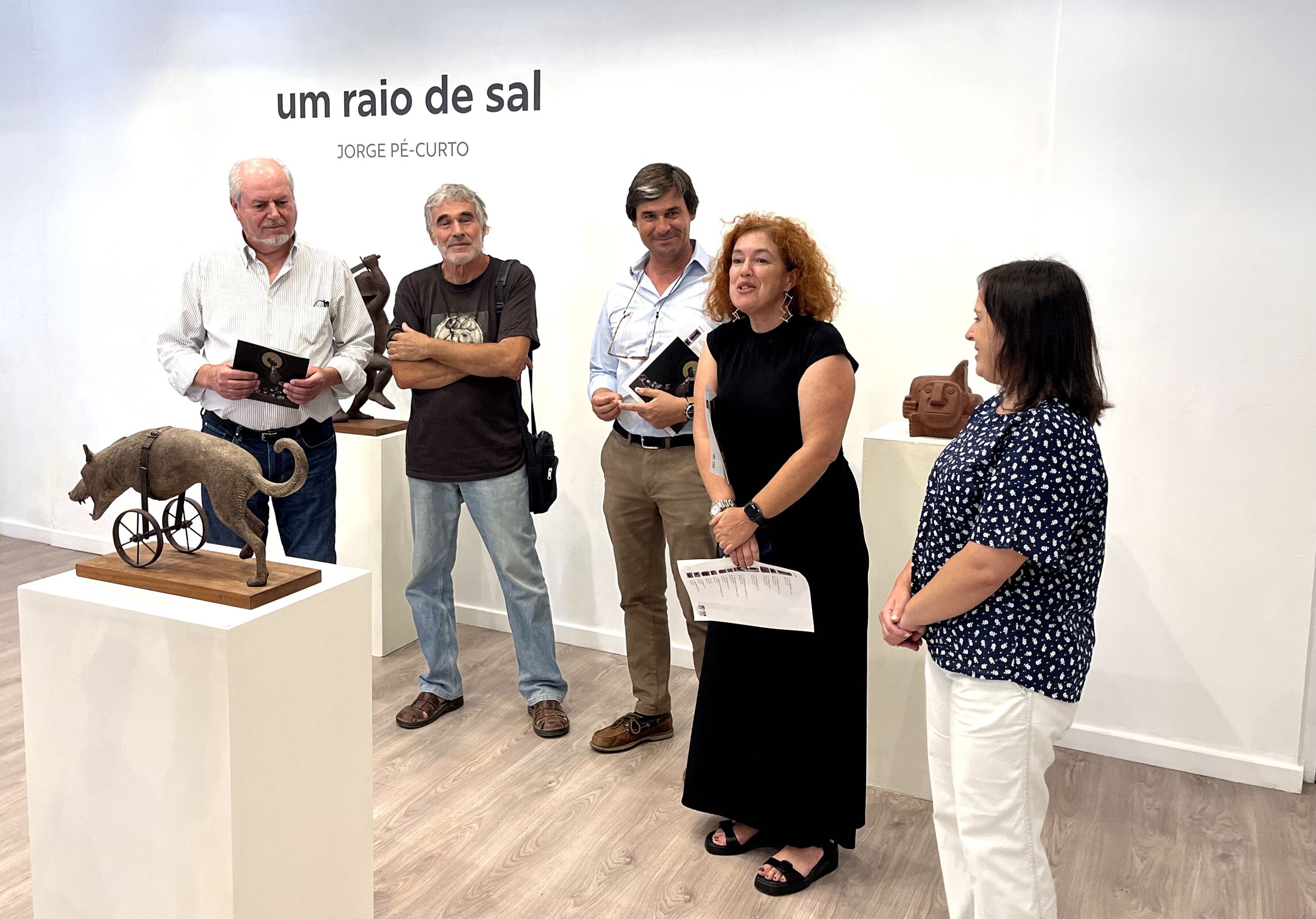 Exposição "Um Raio de Sal" de Jorge Pé-Curto abre ao público no MAEDS